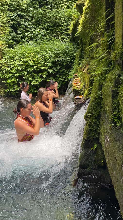 Traditional Balinese Healing and Water Purification - Key Things You’ll Notice