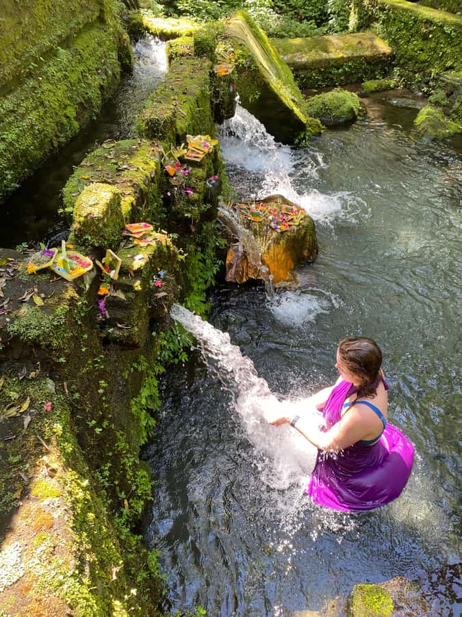 Traditional Balinese Healing and Water Purification - Pickup, Transfers, and How the Day Stays Relaxed