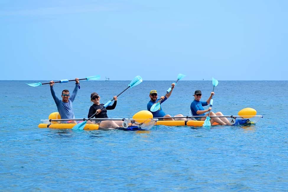 Transparent kayak and stand up paddle rental - What You’ll See Under the Clear Hull (Coral, Fish, Turtles)