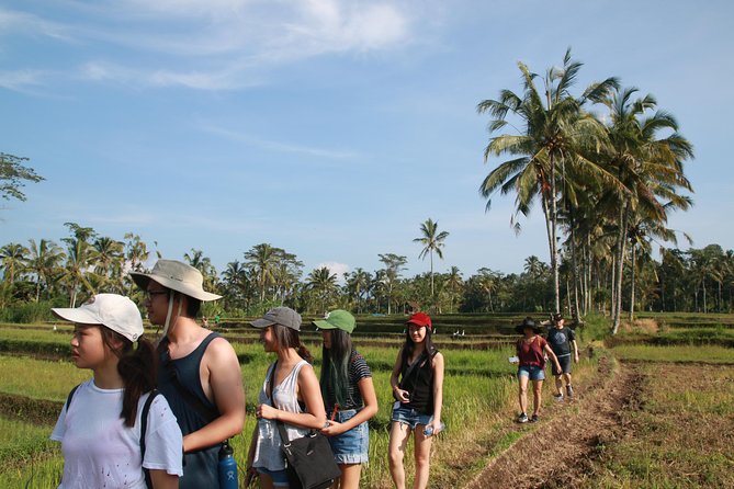Trekking and Sightseeing tour with lunch - What This Ubud Trek and Temple Day Really Delivers