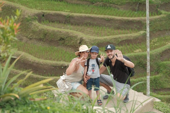Trekking and Sightseeing tour with lunch - Lunch Over the Paddies and Luwak Coffee at the Plantation