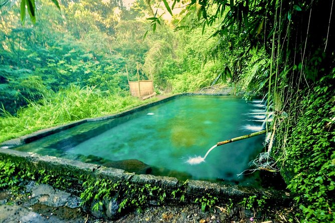 Trekking and Sightseeing tour with lunch - Tegalalang Rice Terrace and the Swing Stop (What’s Included vs Not)