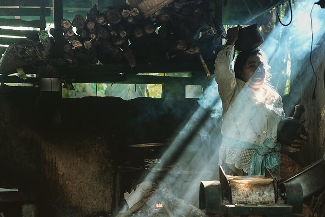 Trekking and Sightseeing tour with lunch - Meeting Your Guide and Settling into Taro Village Life