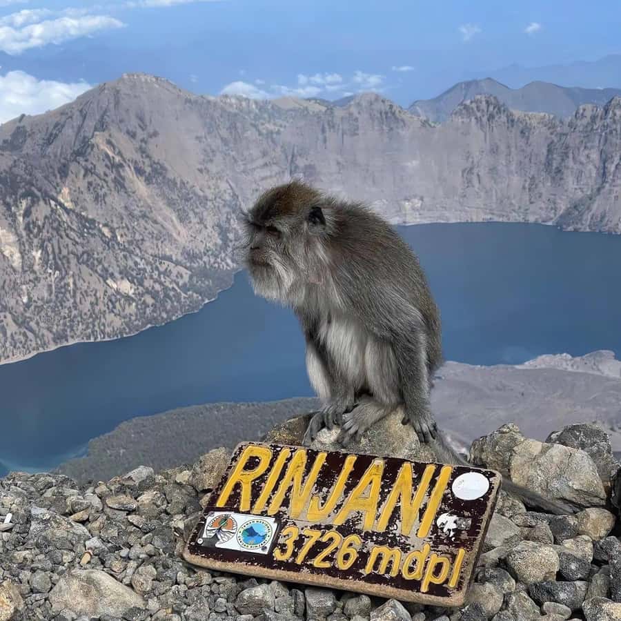 trekking mount rinjani summit join in group tour - Key things I think you’ll care about