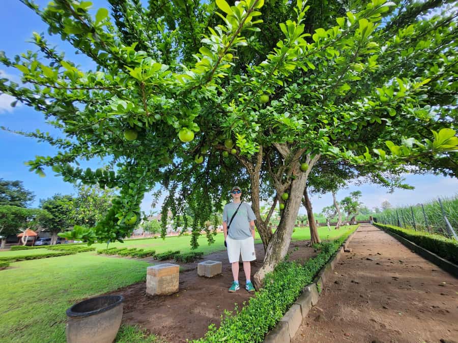 Trowulan Tour Ruin of Majapahit Kingdom - From Surabaya to Trowulan: the day’s simple flow