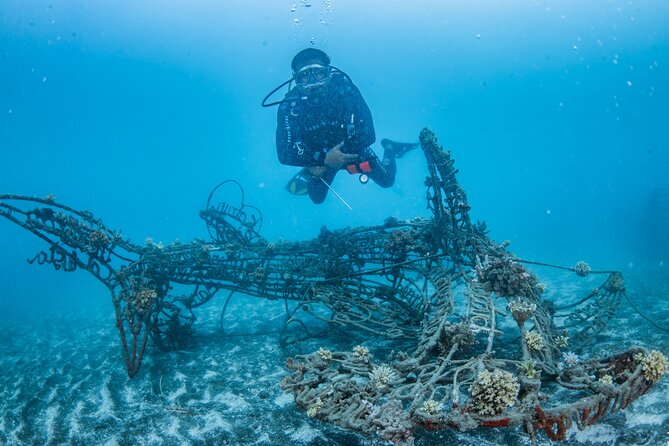 Try Dive Program in the Biorock Pemuteran - Key things to know before you go