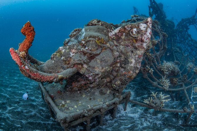 Try Dive Program in the Biorock Pemuteran - The briefing that sets expectations (and saves nerves)