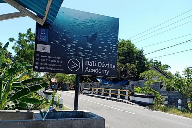 Try Diving at USAT Liberty Wreck Tulamben with 1 or 2 Dives (Stay In Tulamben) - What You’ll See Near USAT Liberty: Corals, Anemones, and Small Finds