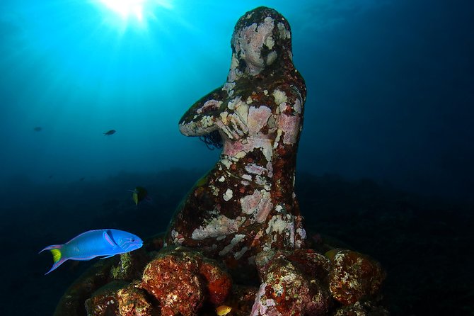 Try Diving at USAT Liberty Wreck Tulamben with 1 or 2 Dives (Stay In Tulamben) - Guides Like Made and Putu: Small Groups That Actually Help
