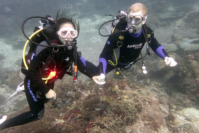 Try Diving in Blue Lagoon Padangbai Bali for non-certified divers - Blue Lagoon water clarity and the marine life you can actually look for