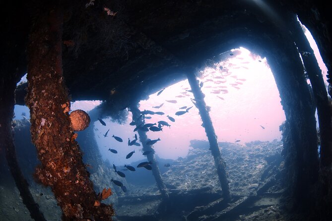 Try Diving in Tulamben - Shipwreck - From Kuta pickup to Tulamben’s wreck coast: how the timing works