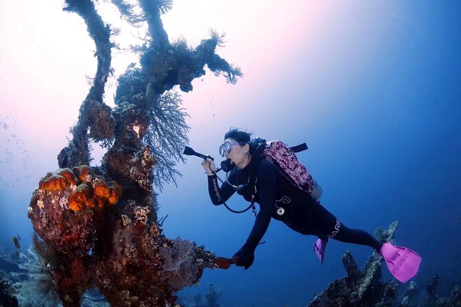 Try Diving in Tulamben - Shipwreck - Price and value: is $240 worth it for a first-time ocean day?