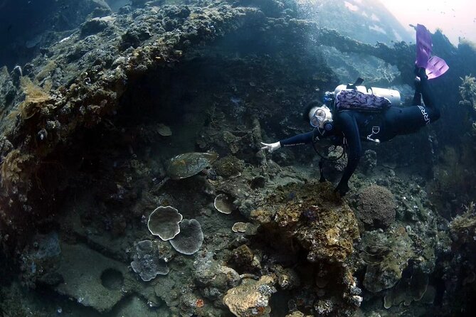 Try Diving in Tulamben - Shipwreck - Should you book Neptune’s Tulamben USS Liberty outing?