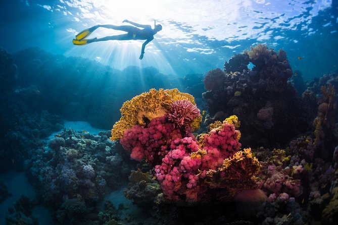 Try Freediving on Nusa Penida - Nusa Penida’s “try it” format: why this course feels different