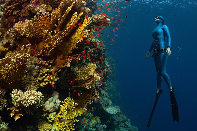 Try Freediving on Nusa Penida - The reef session: where you’ll practice (and why that’s smart)