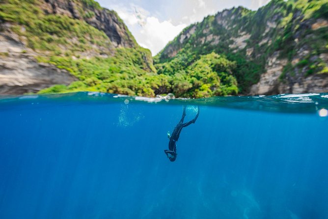 Try Freediving on Nusa Penida - Logistics on Penida: no pickup, morning hours, easy meeting point
