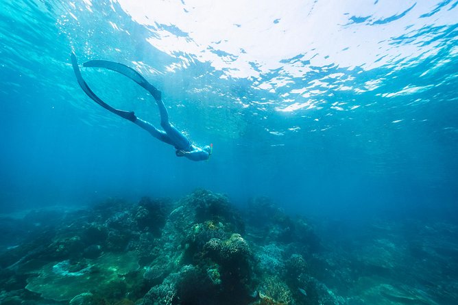 Try Freediving on Nusa Penida - Who should book this course (and who should consider something else)
