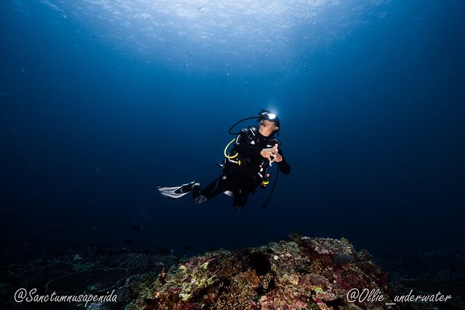 Try Scuba Diving for Beginners with manta rays (Non - Certified) - Price and Value: Does $122 Actually Include What You Need?