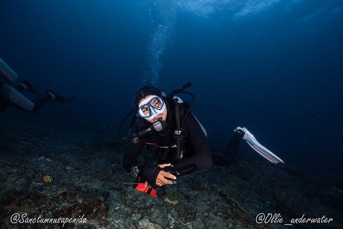 Try Scuba Diving for Beginners with manta rays (Non - Certified) - What “Try Scuba” Means When You’re Not Certified