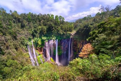 Tumpak Sewu Waterfall & Goa Tetes Private Day Tour - 6:00 am Pickup From Surabaya or Malang (And Why It Matters)
