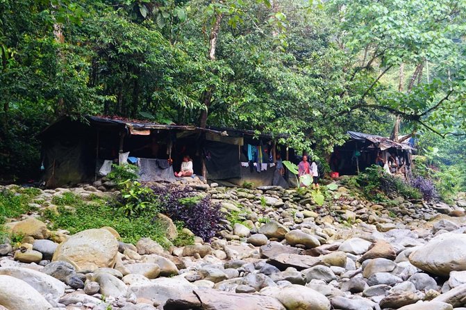 Two days orangutans adventure in Gunung Leuser - Who this trek suits best