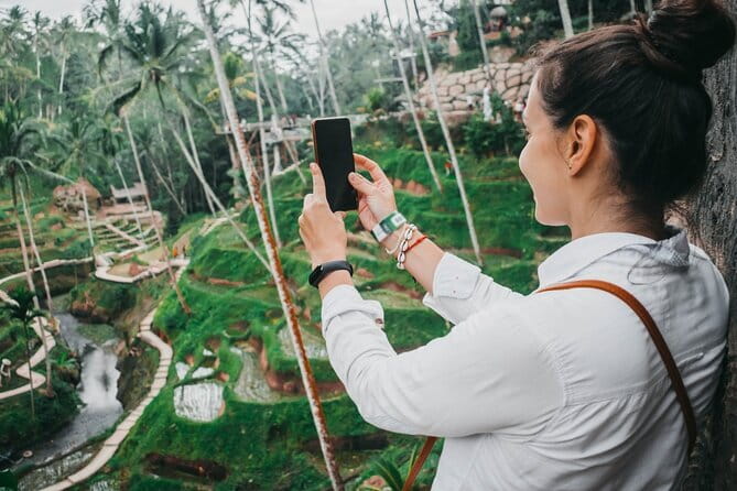 Ubud 1 Day Tour (Private & All-Inclusive) - Sacred Monkey Forest Sanctuary: How to Enjoy the Wild Without Stress
