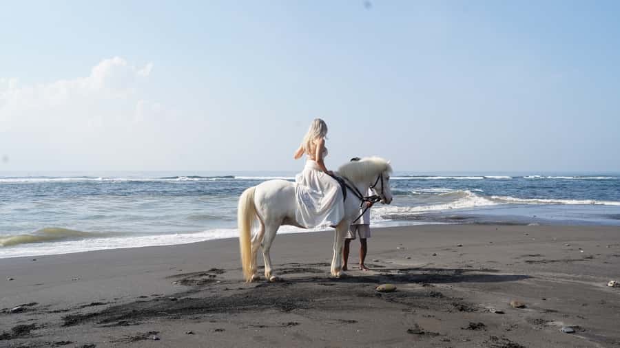 Ubud: 1 Hour Beach Horse Riding with Transfer - Price and value: is $55 per person fair for what you get?