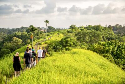 Ubud: 3-Hour Walking Tour with Lunch - The Ceremony Start: A Brahman-Led Blessing at a Traditional Griya