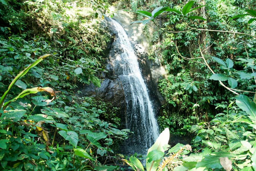 Ubud: 3-Hour Walking Tour with Lunch - Jungle Paths and Waterfall Possibilities (Plan for Slippery Ground)