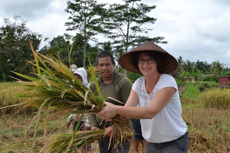 Ubud: 3-Hour Walking Tour with Lunch - Lunch at a Local Home: Indonesian Food With a View of the Real Ubud