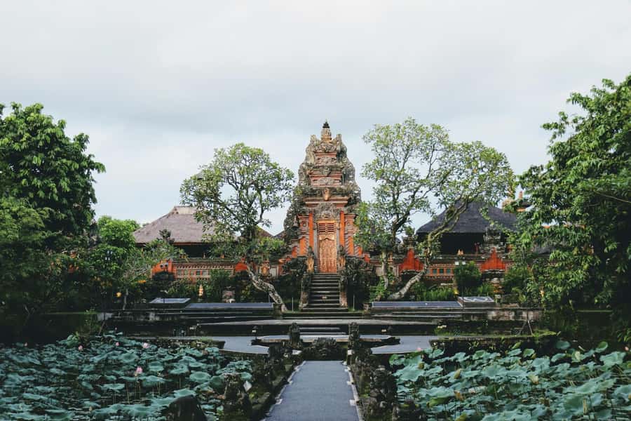 Ubud 3-in-1: Swing, Zipline & SkyBike Adventure - U Fun Field: The 1-Hour Start That Sets the Tone