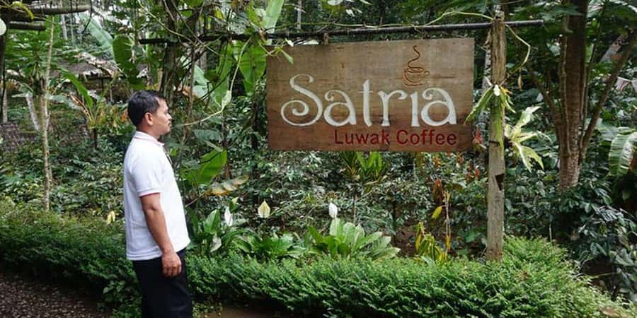 Ubud 3-in-1: Swing, Zipline & SkyBike Adventure - Tegallalang Photo Stop and the Big Views from Above