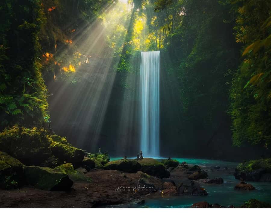 Ubud: 3 Spectacular Waterfalls In Ubud With Transfer - Key highlights you’ll care about
