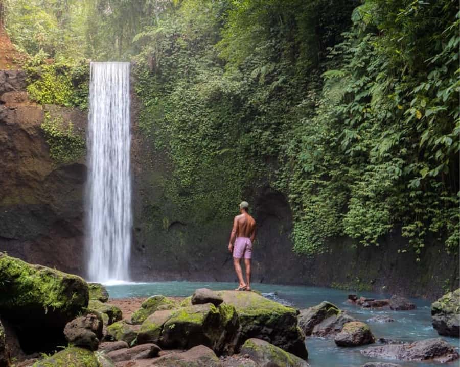 Ubud: 3 Spectacular Waterfalls In Ubud With Transfer - Who this tour fits best (and who should pass)
