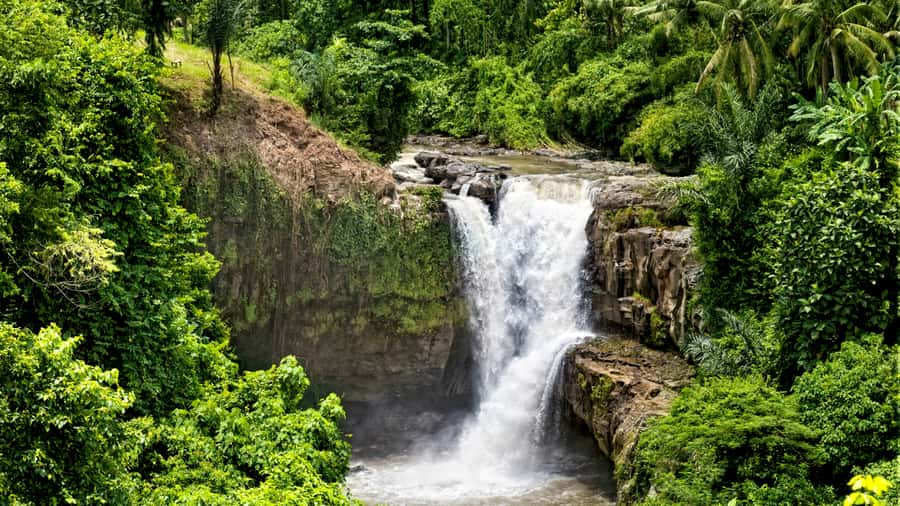 Ubud Adventure: ATV Thrills, Monkey Encounters, & Waterfall - Tegalalang Rice Terraces UNESCO stop: why that photo stop is worth your time