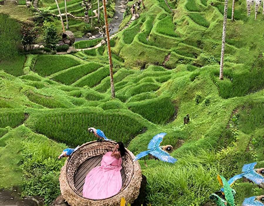 Ubud: Alas Harum, Tirta Empul, Tukad cepung, Dedari - Tirta Empul purification: what to do when you’re surrounded by holy springs