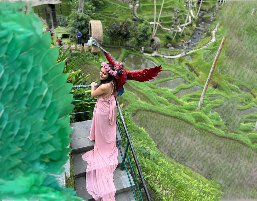 Ubud: Alas Harum, Tirta Empul, Tukad cepung, Dedari - The kind of traveler who will love this itinerary