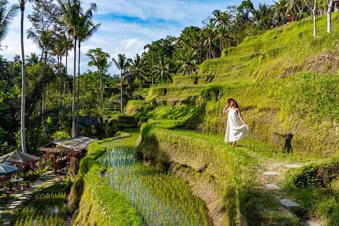 Ubud All-Inclusive Tour with Swing and Lunch - Key highlights at a glance