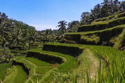 Ubud And Sunset Tanah Lot Tour - Batuan Temple (Puseh Batuan): Coconut Roof, Roadside Setting, and Good Details