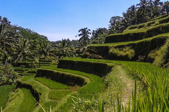 Ubud And Sunset Tanah Lot Tour - Batuan Temple (Puseh Batuan): Coconut Roof, Roadside Setting, and Good Details