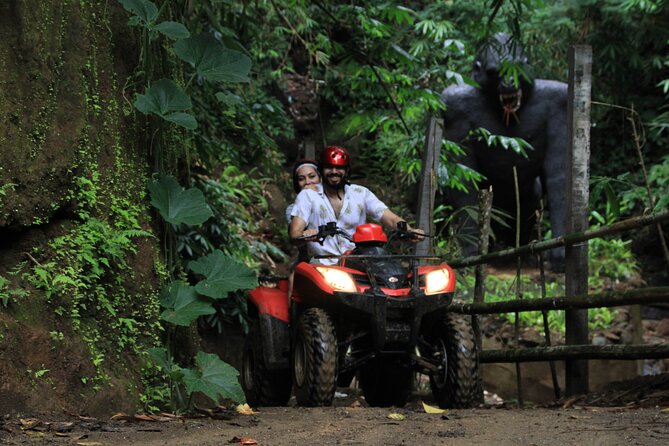 Ubud ATV Quad Bike with Ayung River Rafting Experience - Buffet Lunch and the Rice-Field Stop You Don’t Want to Skip