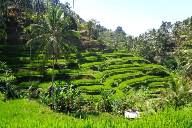 Ubud ATV ride Adventure and water rafting - Water rafting: planning mindset for a wet part of Bali