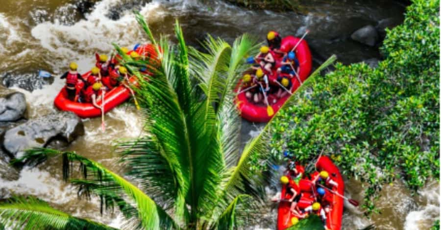 Ubud: Ayung River Rafting Adventure with Lunch and Transport - Walk Down or Zipline: Choosing the Way to Reach the Water