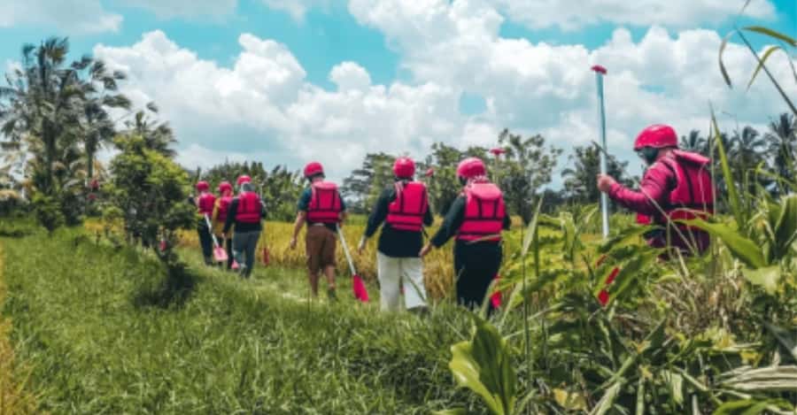 Ubud: Ayung River Rafting Adventure with Lunch and Transport - The Jungle and Culture Stops: What You’ll Notice Beyond the Water