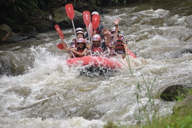 Ubud Ayung River Rafting with Meeting Point or Pickup - Price and value: why $20 can make sense here
