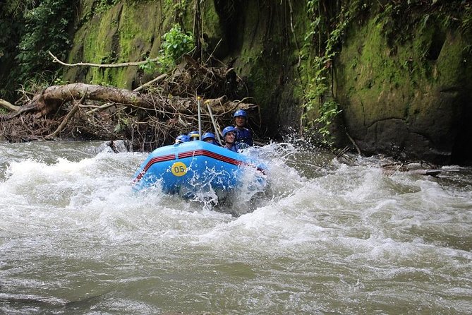 Ubud Ayung Water Rafting included Lunch and Transfer - The 2-Hour Paddling Session: Fast Splash, Calm Moments, and Photo Breaks