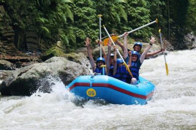 Ubud Ayung Water Rafting included Lunch and Transfer - What You’ll See: Jungle Flora, Birds, Monkeys, Rice Paddies, and Waterfalls