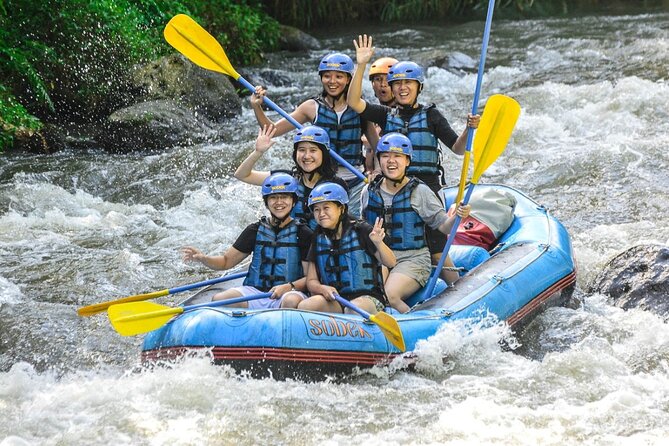 Ubud Ayung Water Rafting included Lunch and Transfer - Buffet Lunch + Shower and Changing Rooms: The Part That Makes It Bearable