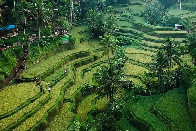 Ubud Bali Driver ( Bali Custom Tour ) - Besakih Temple: Mother Temple vibes, plus plan for crowds