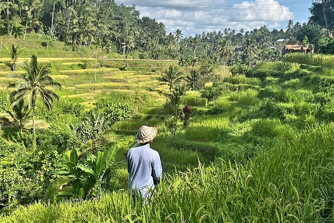 Ubud Bali Driver - Private Driver in Ubud - Why Paying for a Private Ubud Driver Feels Like Cheating (In a Good Way)